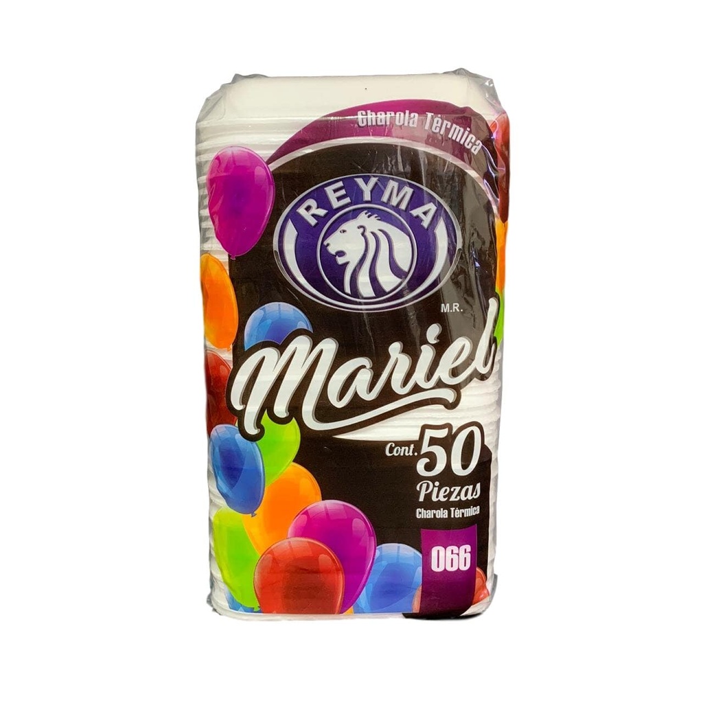 CHAROLA CHICA #66 C/50 REYMA